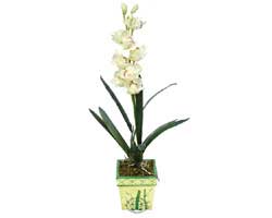 zel Yapay Orkide Beyaz   stanbul beikta online ieki , iek siparii 