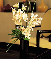  stanbul beikta iekiler  cam yada mika vazo ierisinde dal orkide
