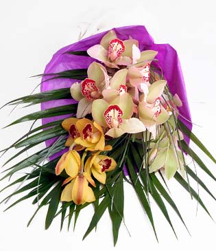  stanbul beikta cicekciler , cicek siparisi  1 adet dal orkide buket halinde sunulmakta