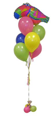 stanbul beikta iek yolla  Sevdiklerinize 17 adet uan balon demeti yollayin.