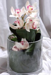  stanbul beikta internetten iek siparii  Cam yada mika vazo ierisinde tek dal orkide