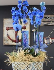 4 dall zel mavi orkide  stanbul beikta iek siparii vermek 